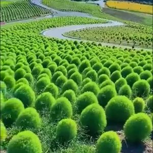 Meet your Posher, Bernardo